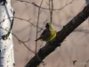 Filename=001_fotowilga~46.JPG
Filesize=222KB
Dimensions=700x525
Date added=Feb 09, 2018 001_fotowilga~46.JPG