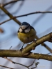 Filename=001_fotowilga~49.JPG
Filesize=219KB
Dimensions=525x700
Date added=Mar 19, 2018 001_fotowilga~49.JPG