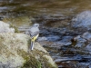 Filename=001_fotowilga~51.JPG
Filesize=336KB
Dimensions=700x525
Date added=May 04, 2018 001_fotowilga~51.JPG