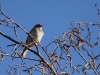 Filename=001_fotowilga~63.JPG
Filesize=282KB
Dimensions=700x525
Date added=Dec 02, 2019 001_fotowilga~63.JPG