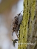 Filename=0020_fotowilga.JPG
Filesize=62KB
Dimensions=360x480
Date added=Feb 13, 2017 0020_fotowilga.JPG