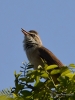 Filename=00210_fotowilga~41.JPG
Filesize=238KB
Dimensions=525x700
Date added=May 11, 2018 00210_fotowilga~41.JPG