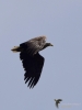 Filename=00213_fotowilga~46.JPG
Filesize=166KB
Dimensions=525x700
Date added=Jun 02, 2018 00213_fotowilga~46.JPG