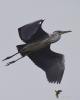 Filename=00217_fotowilga~0.JPG
Filesize=232KB
Dimensions=561x700
Date added=Oct 01, 2021 00217_fotowilga~0.JPG