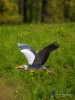 Filename=00219_fotowilga~33.JPG
Filesize=339KB
Dimensions=525x700
Date added=May 03, 2017 00219_fotowilga~33.JPG