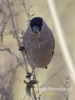 Filename=00223_fotowilga~27.JPG
Filesize=50KB
Dimensions=360x480
Date added=Jan 04, 2017 00223_fotowilga~27.JPG