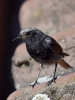 Filename=00223_fotowilga~48.JPG
Filesize=255KB
Dimensions=525x700
Date added=Jul 29, 2018 00223_fotowilga~48.JPG