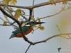Filename=0022_fotowilga~71.JPG
Filesize=247KB
Dimensions=700x525
Date added=Oct 29, 2019 0022_fotowilga~71.JPG