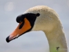 Filename=00234_fotowilga~44.JPG
Filesize=190KB
Dimensions=700x525
Date added=Jun 05, 2018 00234_fotowilga~44.JPG