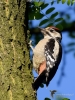 Filename=00238_fotowilga.JPG
Filesize=371KB
Dimensions=525x700
Date added=Jun 13, 2019 00238_fotowilga.JPG
