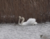 Filename=00239_fotowilga~0.JPG
Filesize=368KB
Dimensions=699x552
Date added=Mar 29, 2021 00239_fotowilga~0.JPG