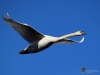 Filename=00246_fotowilga.JPG
Filesize=188KB
Dimensions=700x525
Date added=Feb 25, 2019 00246_fotowilga.JPG