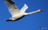 Filename=00247_fotowilga.JPG
Filesize=173KB
Dimensions=700x438
Date added=Feb 25, 2019 00247_fotowilga.JPG