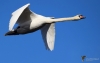 Filename=00248_fotowilga~33.JPG
Filesize=167KB
Dimensions=700x444
Date added=Feb 25, 2019 00248_fotowilga~33.JPG