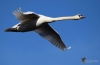Filename=00249_fotowilga~4.JPG
Filesize=167KB
Dimensions=700x457
Date added=Feb 25, 2019 00249_fotowilga~4.JPG