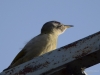 Filename=00253_fotowilga~43.JPG
Filesize=208KB
Dimensions=700x525
Date added=Nov 01, 2018 00253_fotowilga~43.JPG