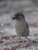 Filename=00255_fotowilga~28.JPG
Filesize=261KB
Dimensions=525x700
Date added=Oct 28, 2018 00255_fotowilga~28.JPG