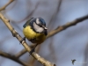 Filename=0025_fotowilga.JPG
Filesize=231KB
Dimensions=700x525
Date added=Jul 21, 2019 0025_fotowilga.JPG