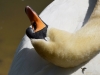 Filename=00261_fotowilga~40.JPG
Filesize=210KB
Dimensions=700x525
Date added=May 06, 2018 00261_fotowilga~40.JPG