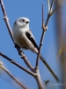 Filename=00262_fotowilga~43.JPG
Filesize=264KB
Dimensions=525x700
Date added=Oct 10, 2019 00262_fotowilga~43.JPG