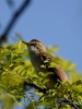 Filename=00263_fotowilga~43.JPG
Filesize=251KB
Dimensions=525x700
Date added=Jun 15, 2019 00263_fotowilga~43.JPG