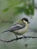 Filename=00265_fotowilga~51.JPG
Filesize=241KB
Dimensions=525x700
Date added=Jul 16, 2019 00265_fotowilga~51.JPG