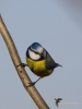 Filename=00266_fotowilga~18.JPG
Filesize=193KB
Dimensions=525x700
Date added=May 27, 2019 00266_fotowilga~18.JPG