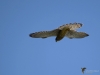 Filename=00267_fotowilga.JPG
Filesize=177KB
Dimensions=700x525
Date added=Oct 15, 2018 00267_fotowilga.JPG