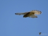 Filename=00270_fotowilga.JPG
Filesize=184KB
Dimensions=700x525
Date added=Oct 15, 2018 00270_fotowilga.JPG