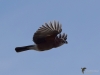 Filename=00271_fotowilga~47.JPG
Filesize=203KB
Dimensions=700x525
Date added=Oct 21, 2019 00271_fotowilga~47.JPG