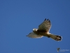 Filename=00276_fotowilga.JPG
Filesize=183KB
Dimensions=700x525
Date added=Oct 15, 2018 00276_fotowilga.JPG