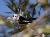 Filename=00277_fotowilga~36.JPG
Filesize=232KB
Dimensions=700x525
Date added=Oct 16, 2019 00277_fotowilga~36.JPG
