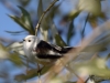 Filename=00278_fotowilga~39.JPG
Filesize=232KB
Dimensions=700x525
Date added=Oct 18, 2019 00278_fotowilga~39.JPG