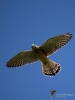 Filename=00280_fotowilga~42.JPG
Filesize=191KB
Dimensions=525x700
Date added=Oct 15, 2018 00280_fotowilga~42.JPG