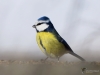 Filename=00281_fotowilga~35.JPG
Filesize=194KB
Dimensions=700x525
Date added=Feb 22, 2019 00281_fotowilga~35.JPG