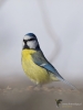 Filename=00282_fotowilga~36.JPG
Filesize=172KB
Dimensions=525x700
Date added=Feb 10, 2019 00282_fotowilga~36.JPG