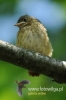 Filename=00289_fotowilga~22.JPG
Filesize=65KB
Dimensions=320x480
Date added=May 29, 2016 00289_fotowilga~22.JPG