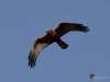 Filename=00290_fotowilga~39.JPG
Filesize=210KB
Dimensions=700x525
Date added=Apr 14, 2018 00290_fotowilga~39.JPG