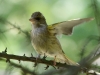 Filename=00290_fotowilga~47.JPG
Filesize=293KB
Dimensions=700x525
Date added=Jul 19, 2019 00290_fotowilga~47.JPG