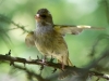 Filename=00291_fotowilga~0.JPG
Filesize=281KB
Dimensions=700x525
Date added=Jul 24, 2019 00291_fotowilga~0.JPG