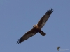 Filename=00291_fotowilga~44.JPG
Filesize=206KB
Dimensions=700x525
Date added=Apr 14, 2018 00291_fotowilga~44.JPG
