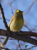 Filename=00292_fotowilga~57.JPG
Filesize=253KB
Dimensions=525x700
Date added=Feb 21, 2019 00292_fotowilga~57.JPG