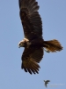 Filename=00294_fotowilga~36.JPG
Filesize=181KB
Dimensions=525x700
Date added=Jul 26, 2017 00294_fotowilga~36.JPG