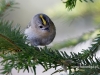 Filename=00295_fotowilga~31.JPG
Filesize=112KB
Dimensions=640x480
Date added=Mar 28, 2017 00295_fotowilga~31.JPG