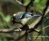 Filename=002_fotowilga~10.JPG
Filesize=99KB
Dimensions=576x480
Date added=Sep 24, 2015 002_fotowilga~10.JPG