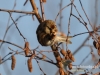 Filename=002_fotowilga~12.JPG
Filesize=105KB
Dimensions=640x480
Date added=Feb 06, 2016 002_fotowilga~12.JPG