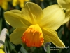 Filename=002_fotowilga~22.JPG
Filesize=93KB
Dimensions=640x480
Date added=Feb 19, 2017 002_fotowilga~22.JPG
