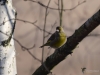 Filename=002_fotowilga~39.JPG
Filesize=220KB
Dimensions=700x525
Date added=Feb 16, 2018 002_fotowilga~39.JPG
