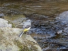 Filename=002_fotowilga~46.JPG
Filesize=365KB
Dimensions=700x525
Date added=May 14, 2018 002_fotowilga~46.JPG
