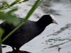 Filename=002_fotowilga~52.JPG
Filesize=213KB
Dimensions=700x525
Date added=Nov 19, 2018 002_fotowilga~52.JPG